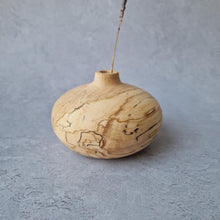 Load image into Gallery viewer, Sunny Beaux Spalted Beech squat vase (Sunny79)