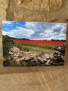 Cotswolds Cards "Poppy field" greetings card
