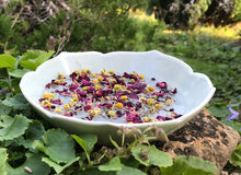 Load image into Gallery viewer, The Lane Natural Skincare Company Soothing botanical facial steam 10g bag (The lane)