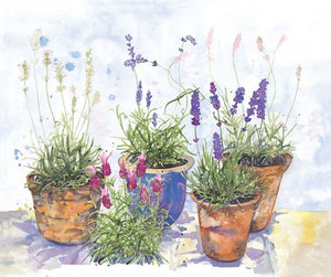 Alison Vickey artist "Lavender Garden" greetings card