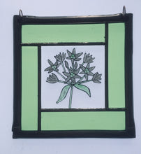 Load image into Gallery viewer, Liz Dart Stained Glass wild garlic panel Stroud