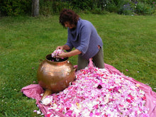 Load image into Gallery viewer, Rose Beauty Mist, Saskia Flower Essences