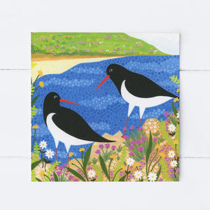 Sian Summerhayes "Coastal Sea Birds" greetings card