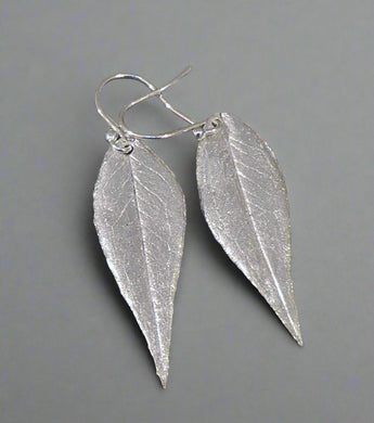 Jane Vernon Fine silver heavenly bamboo leaf earrings D47