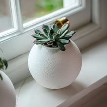 Load image into Gallery viewer, ’The Wobble Pot’ - A self balancing plant pot from Sliced Earth