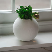 Load image into Gallery viewer, ’The Wobble Pot’ - A self balancing plant pot from Sliced Earth