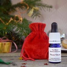 Load image into Gallery viewer, Saskia’s Flower Essences “Night Before Christmas Magic Drops”