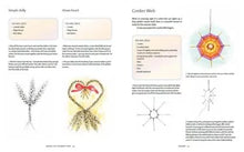 Load image into Gallery viewer, Hawthorn Press &quot;Making the Children’s Year&quot; Seasonal Waldorf Crafts with Children Marije Rowling