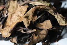 Load image into Gallery viewer, Black Cloud Tea &quot;Sweet Wood&quot; white tea 15g