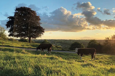Cotswolds Cards 
