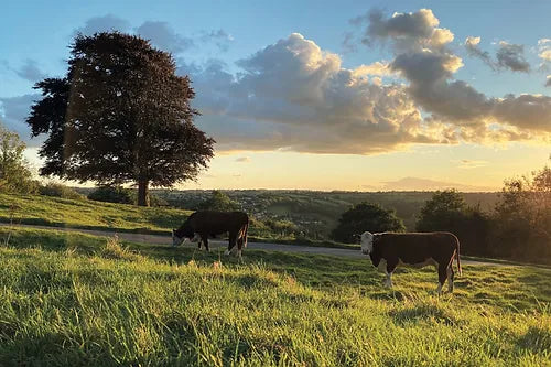 Cotswolds Cards 