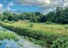 Load image into Gallery viewer, Cotswolds Cards &quot;Arkington Row Bibury&quot; greetings card 