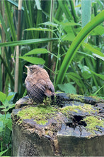 Load image into Gallery viewer, Cotswolds Cards &quot;Bird on a Stump Nailsworth&quot; greetings card 