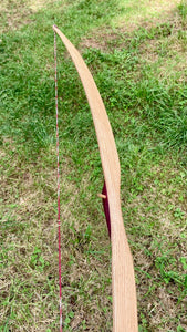 Red Sting Bows American flat bow-board bow