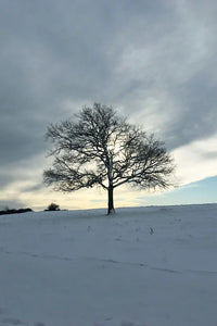 Cotswolds Cards "Michinhampton common" greetings card 