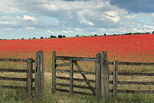 Load image into Gallery viewer, Cotswolds Cards &quot;Poppy field&quot; greetings card 