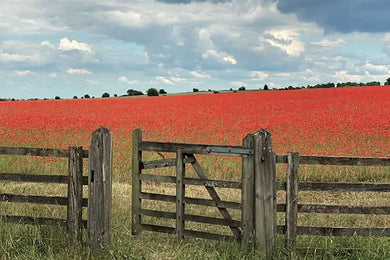 Cotswolds Cards 