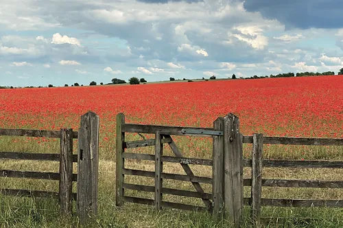 Cotswolds Cards 