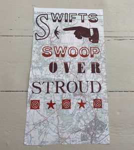Swifts swoop over Stroud