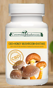 Cotswold Mushrooms honey mushroom and shiitake capsules