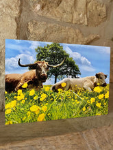 Load image into Gallery viewer, Cotswolds Cards &quot;Cow&quot; greetings card