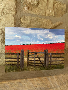 Cotswolds Cards "Poppy field" greetings card