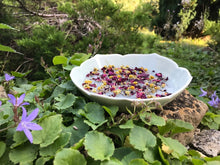 Load image into Gallery viewer, The Lane Natural Skincare Company Botanical facial steam and organic cloth set (The lane)