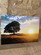Load image into Gallery viewer, Cotswolds Cards &quot;Sunset with tree&quot; greetings card