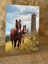 Load image into Gallery viewer, Cotswolds Cards &quot;Horses and tower&quot; greetings card