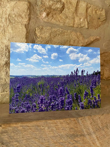 Cotswolds Cards "Lavender field" greetings card