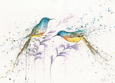 Amy Primarolo “sunbirds with Erica flowers” limited edition print 6/100 A4 (AMY)