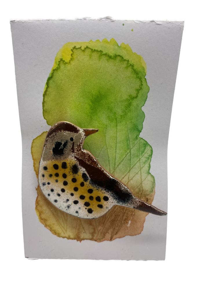 Sally Davis Song thrush enamelled brooch (Sally)