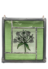 Load image into Gallery viewer, Liz Dart Stained Glass wild garlic panel