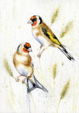 Load image into Gallery viewer, Amy Primarolo Art “meadow Goldfinches” greetings card 