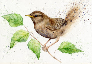 Amy Primarolo Art “Wren” greetings card 