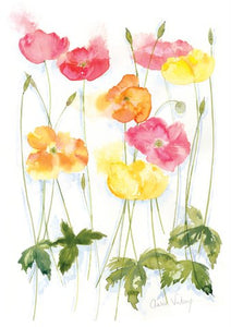 Alison Vickery artist californian poppies greetings card Stroud 