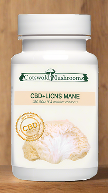 Cotswold Mushrooms Lions mane capsules 