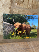 Load image into Gallery viewer, Cotswolds Cards &quot;Highland cow&quot; greetings card
