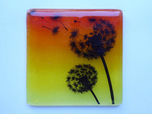 Load image into Gallery viewer, EvaGlass Design Orange and yellow dandelion fused glass coaster (EGD  CDS)