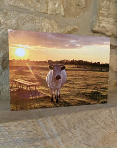 Cotswolds Cards "Cows and clouds - Michinhampton common" greetings card