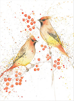 Amy Primarolo Art Waxwings with berries (Amy)