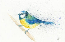 Load image into Gallery viewer, Amy Primarolo Art Bluetit greetings card (AMY)