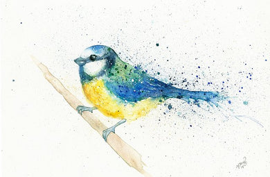 Amy Primarolo Art Bluetit greetings card (AMY)