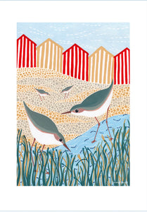 Sian Summerhayes “Beach birds “ art print A3