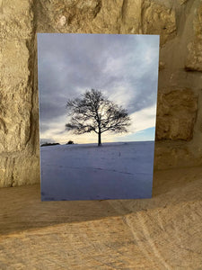 Cotswolds Cards "Michinhampton common" greetings card