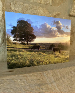 Cotswolds Cards "Kingscote" greetings card 