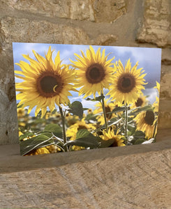 Cotswolds Cards "Bruern sunflowers" greetings card 