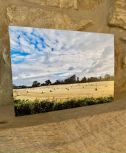 Load image into Gallery viewer, Cotswolds Cards &quot;Didmarton&quot; greetings card