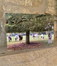 Load image into Gallery viewer, Cotswolds Cards &quot;Minchinhampton common&quot; greetings card