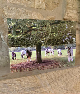 Cotswolds Cards "Minchinhampton common" greetings card